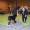 Billund 2015