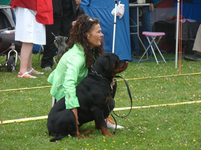 Svendborg 2013